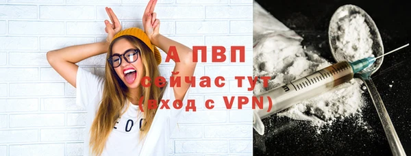 индика Волосово