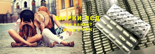 индика Волосово