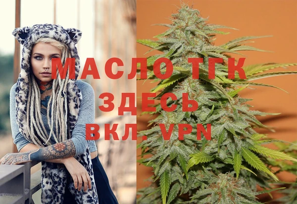 индика Волосово