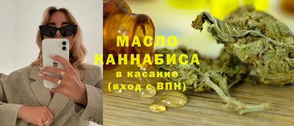 индика Волосово