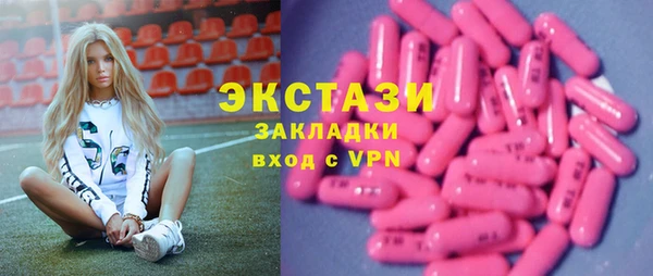 индика Волосово