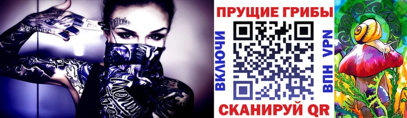 Псилоцибиновые грибы GOLDEN TEACHER  как найти наркотики  MEGA ССЫЛКА  Зуевка 